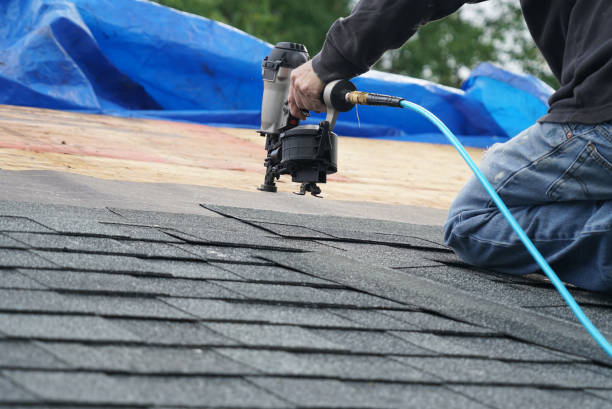 Best Gutter Installation and Repair  in Belzoni, MS