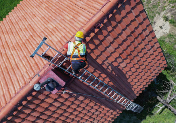 Best Sheet Metal Roofing  in Belzoni, MS