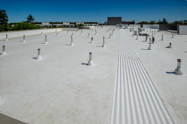 Best Roof Leak Repair  in Belzoni, MS